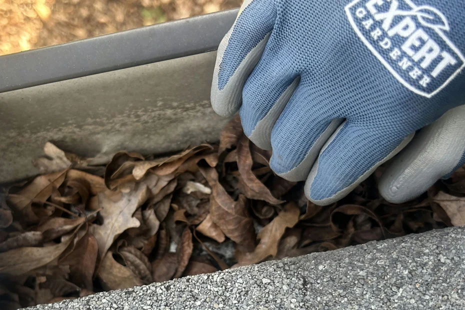 Gutter Cleaning Blacksburg