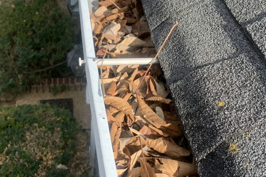 Gutter Cleaning Blacksburg