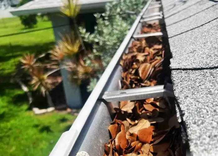 Gutter Cleaning Blacksburg home page